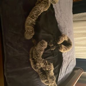 Womens poncho cashmere and genuine fox fur